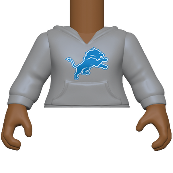 PY: Torso- FM SK5- HDY(GY) Lions, Image 1